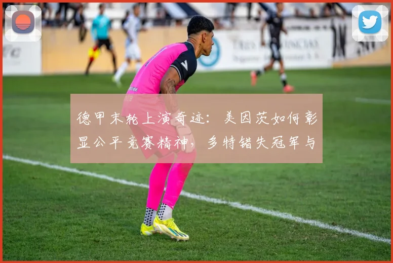 德甲末轮上演奇迹:美因茨如何彰显公平竞赛精神,多特错失冠军与海登海姆降级全解析