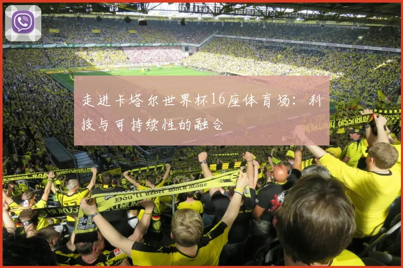 走进卡塔尔世界杯16座体育场：科技与可持续性的融合